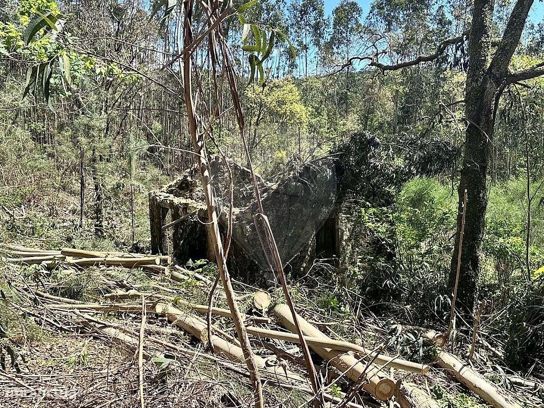 Terreno  para venda - Grande imagem: 4/15