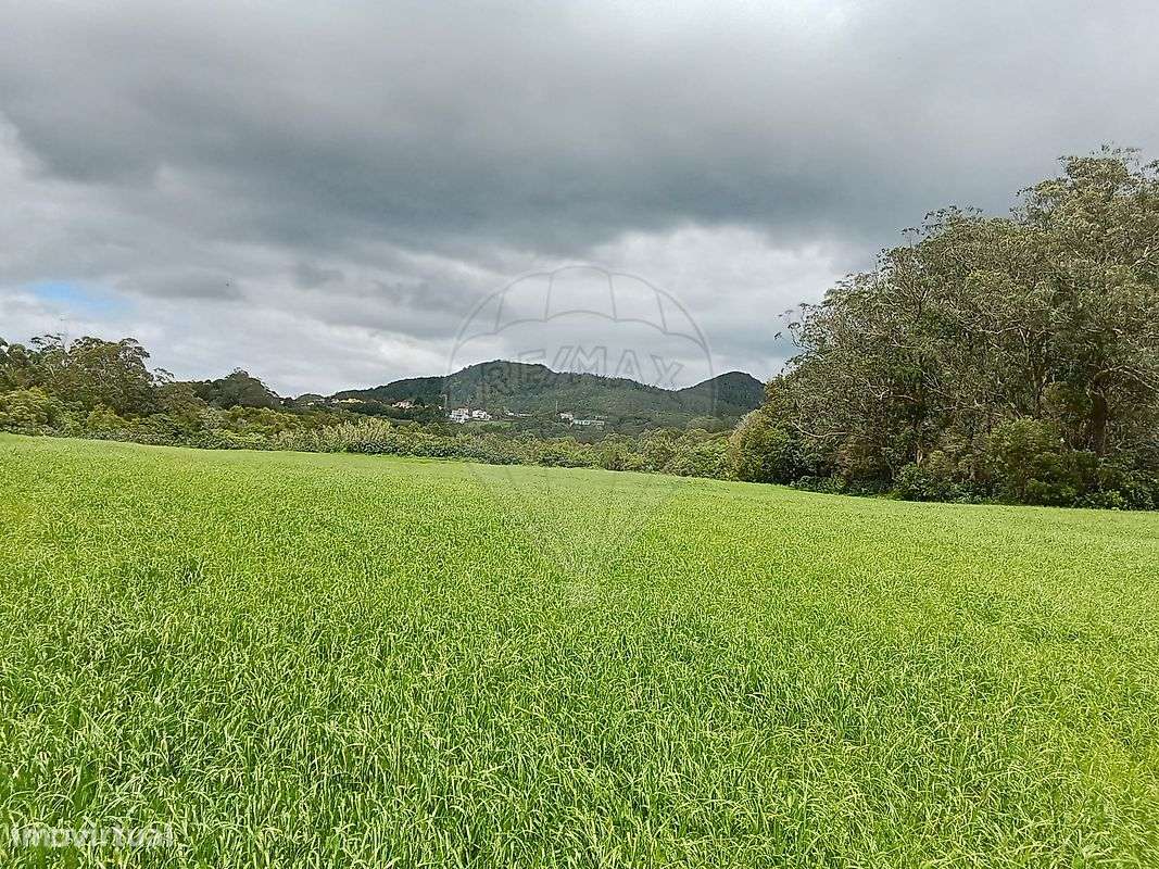 Terreno  para venda - Grande imagem: 3/6