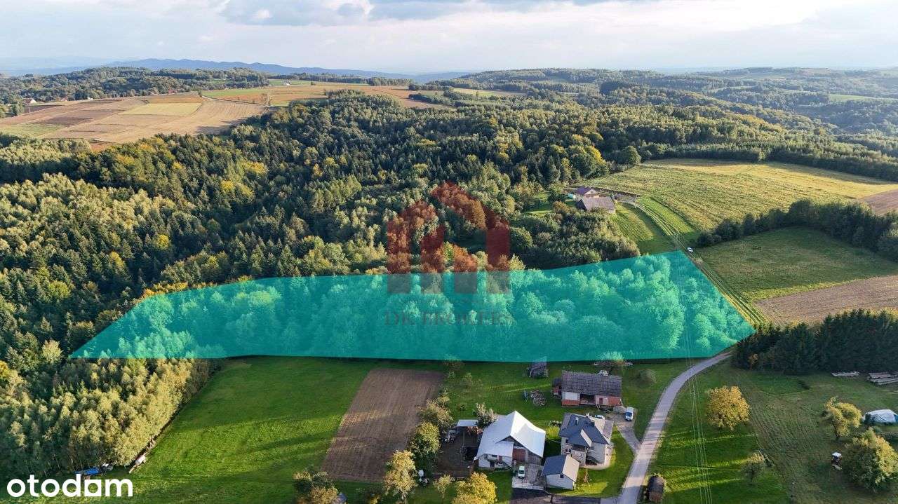 1,47 ha, Wz! dom w lesie? biznes? Jedyna taka!-1
