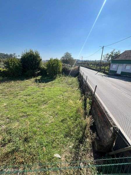 Terreno Urbano – 1 230 m² |  Malhapão, Oliveira do Bairro - Grande imagem: 5/6
