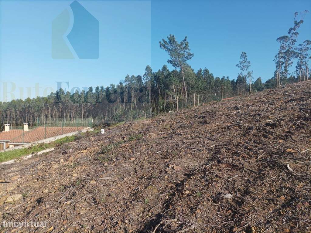 Terreno com PIP Aprovado para a construção de 5 moradias!! - Grande imagem: 4/11