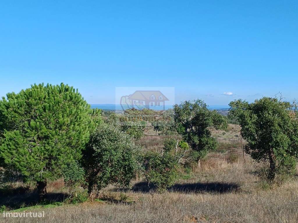 PROJECTO APROVADO para Empreendimento Turístico - propriedade com 4...-10