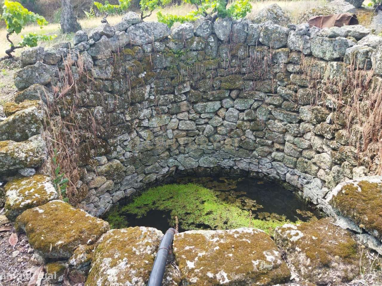 Terreno rústico | Lousa CTB, Castelo Branco - Grande imagem: 5/28