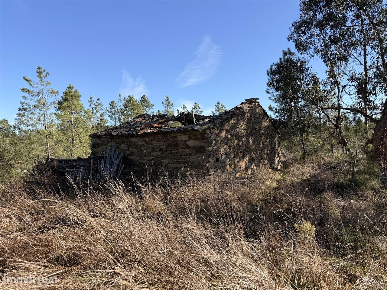 Quinta 5900m2 com ruína registada, barragem, 2 poços e eletricidade — - Grande imagem: 5/21