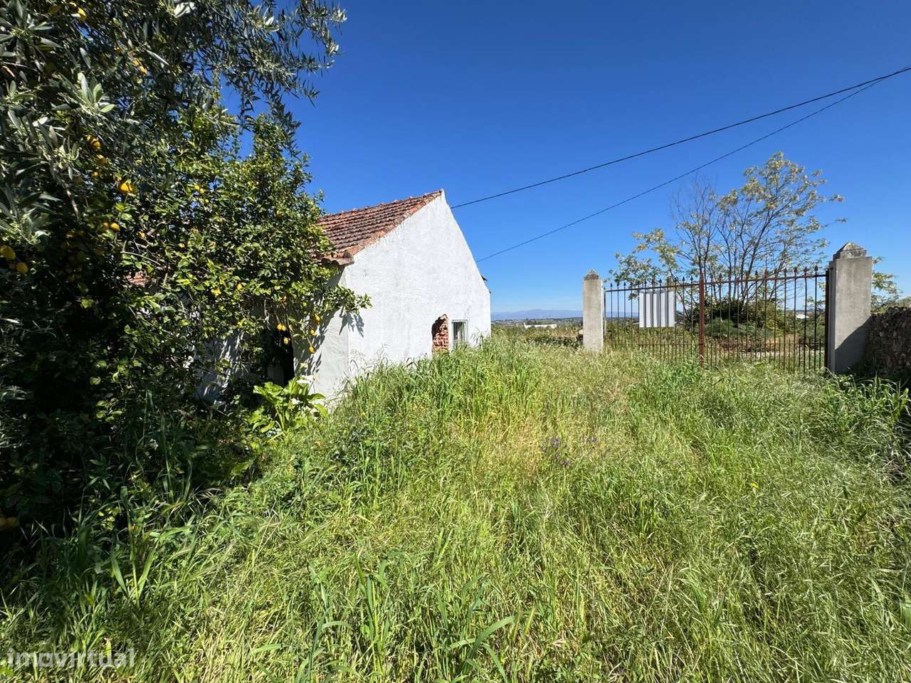 Quintinha-16