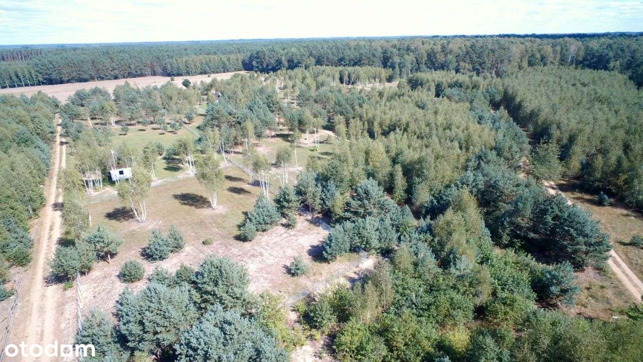 Osada "7 dębów" koło Nowego Miasta-6