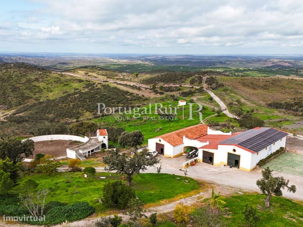 Herdade de Caça Maior com 1000 Hectares + 4 Apartamentos + Anexos-13