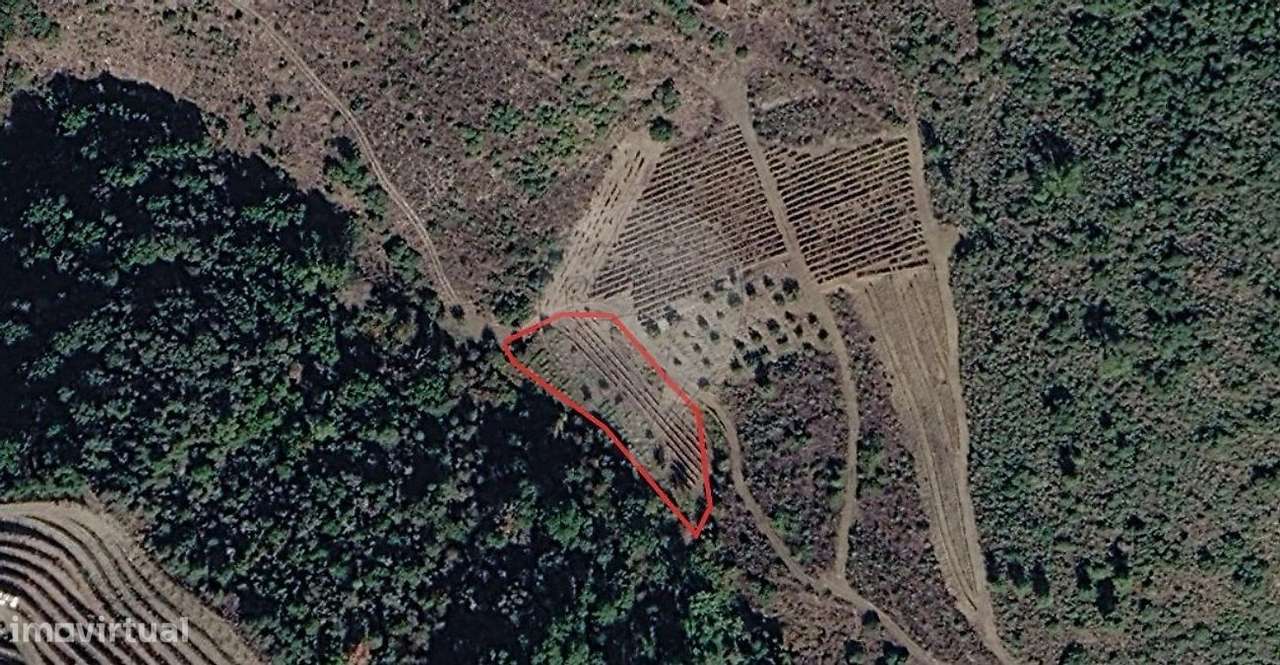 Terreno  para venda-2