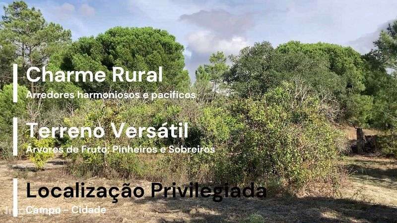 Terreno em Coruche - Grande imagem: 2/7