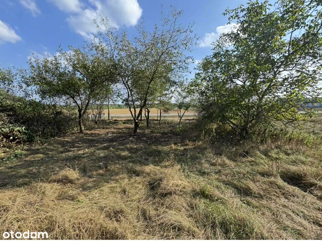 Atrakcyjna Dz. Usługowo /budowlana Kałuszyn - Pełny obrazek: 4/6