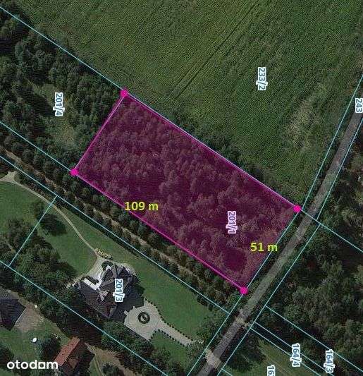 Działka pięknie położona w Czyżeminku-1