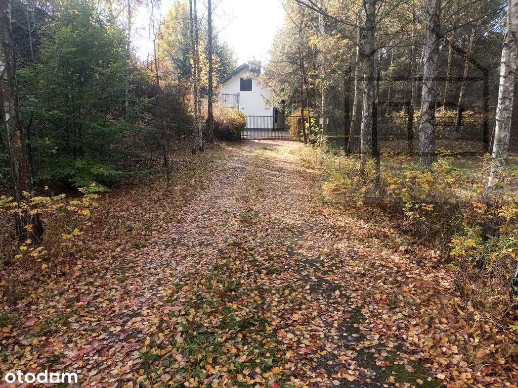 Dom nad Zegrzem z linią brzegową. Jachranka - Pełny obrazek: 5/20