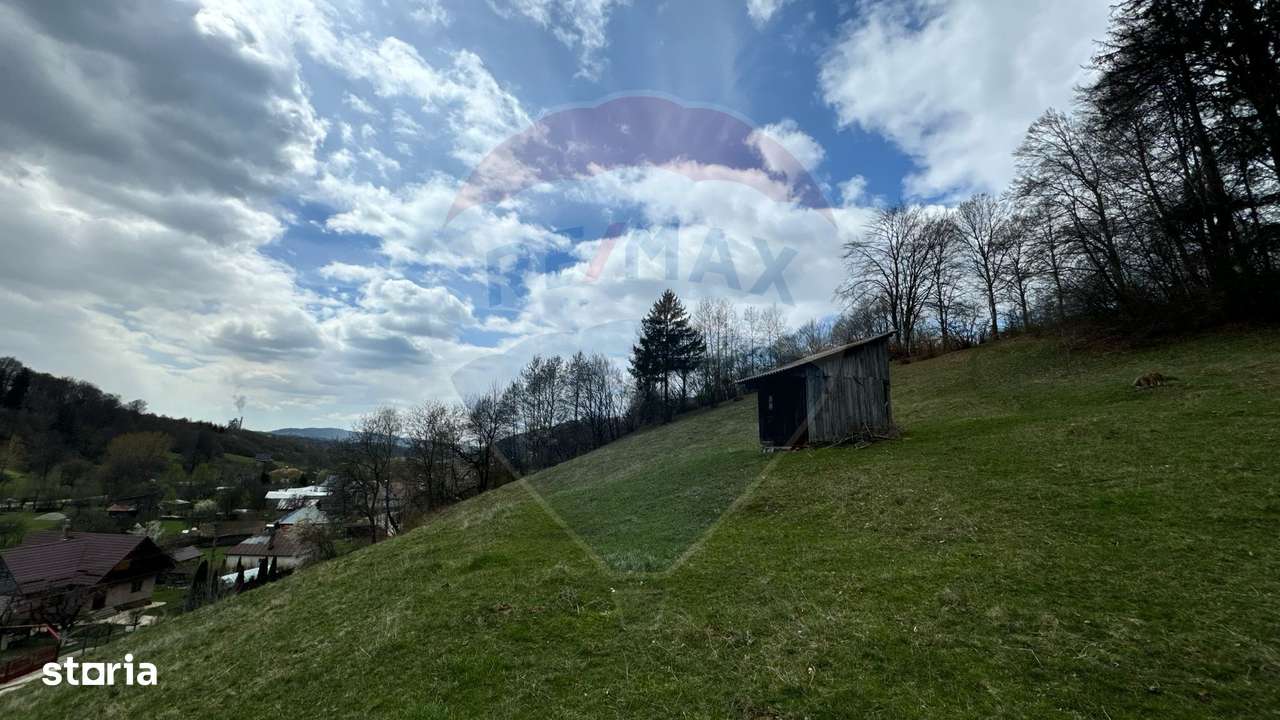 Teren generos, dar ieftin, in Nămăești - Argeș - Imagine principală: 4/12