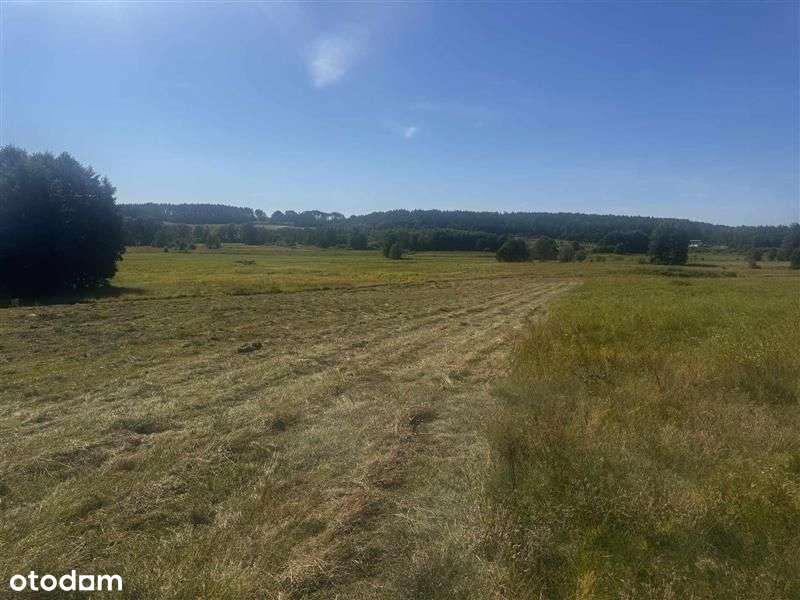 Działka Rezydencjonalna koło Bytowa - Pełny obrazek: 3/7