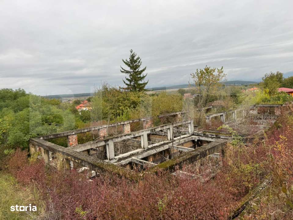 Teren intravilan 7362 mp, Oportunitate de investitie, - Imagine principală: 3/5