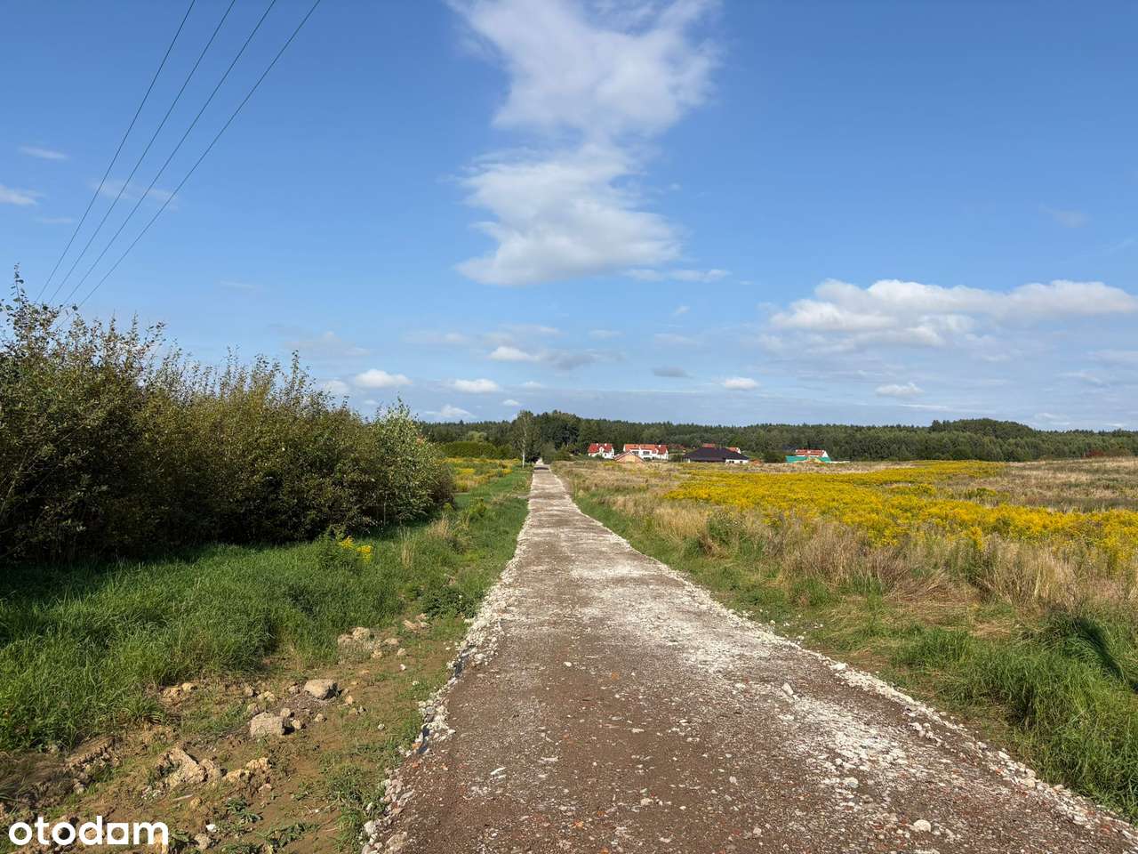 Działka w Tomaszkowie - nowa cena !-6
