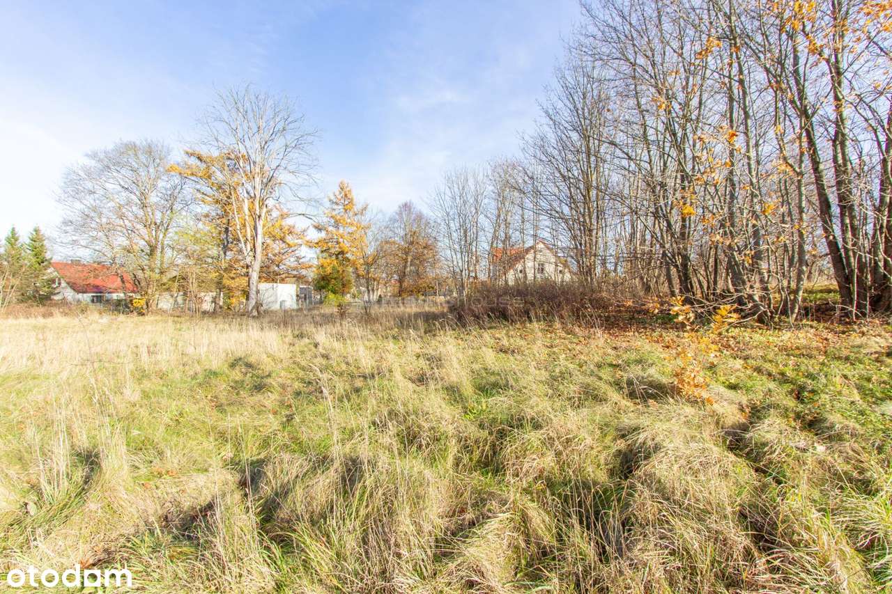 Na sprzedaż działka z halą warsztatową-4