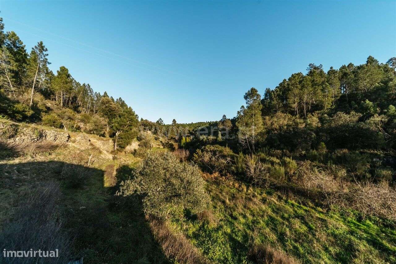 Terreno Rústico / Covilhã, Casegas - Grande imagem: 5/20