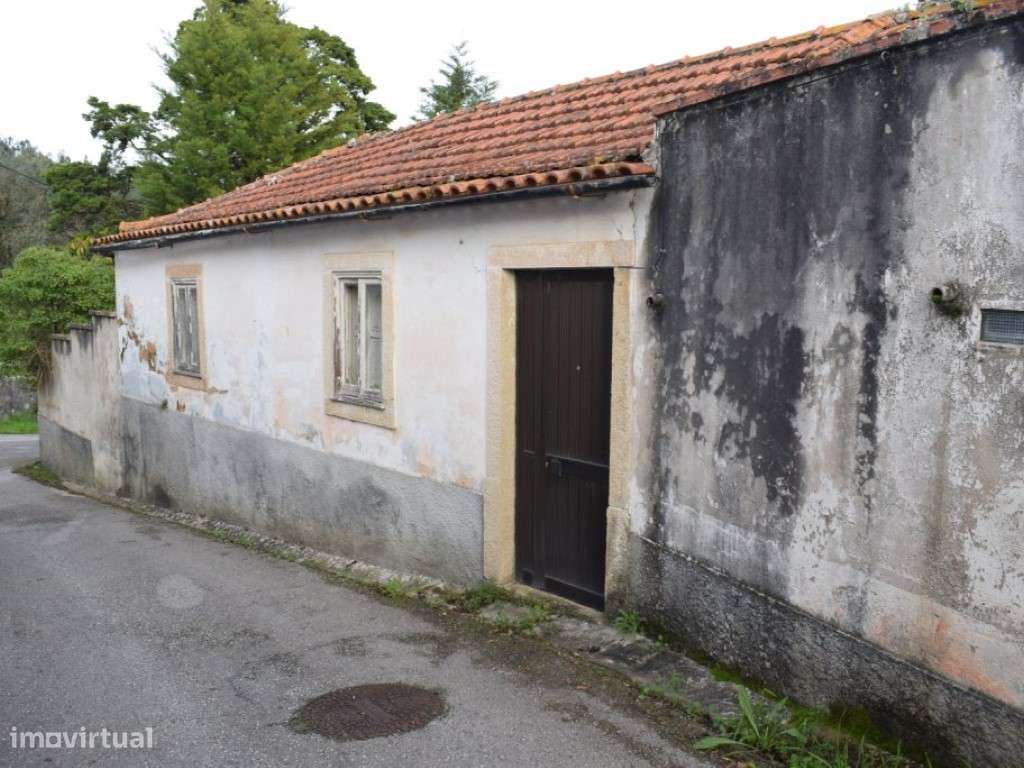 Quinta entre Antanhol e Cernache-12