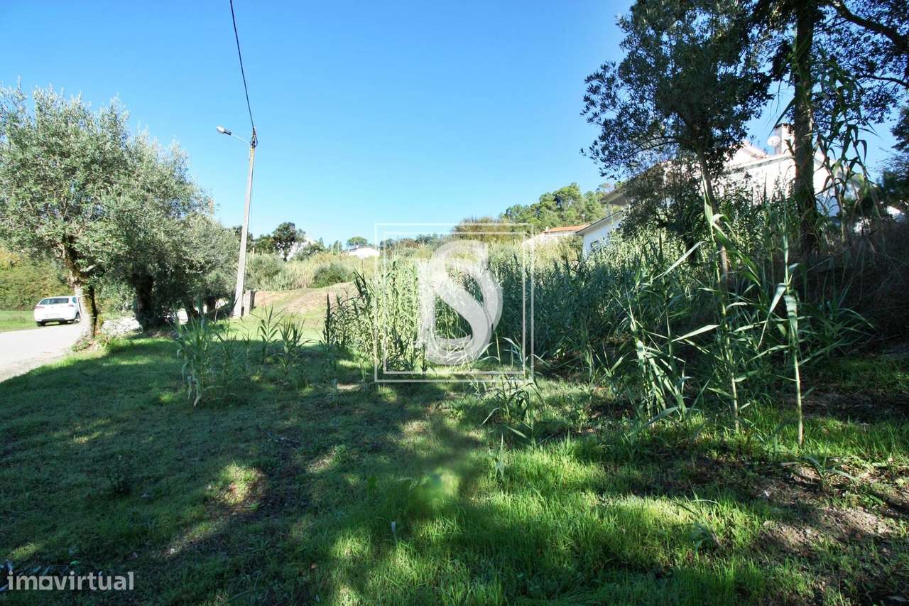 Terreno Não definido em Nossa Senhora da Piedade - Grande imagem: 3/4
