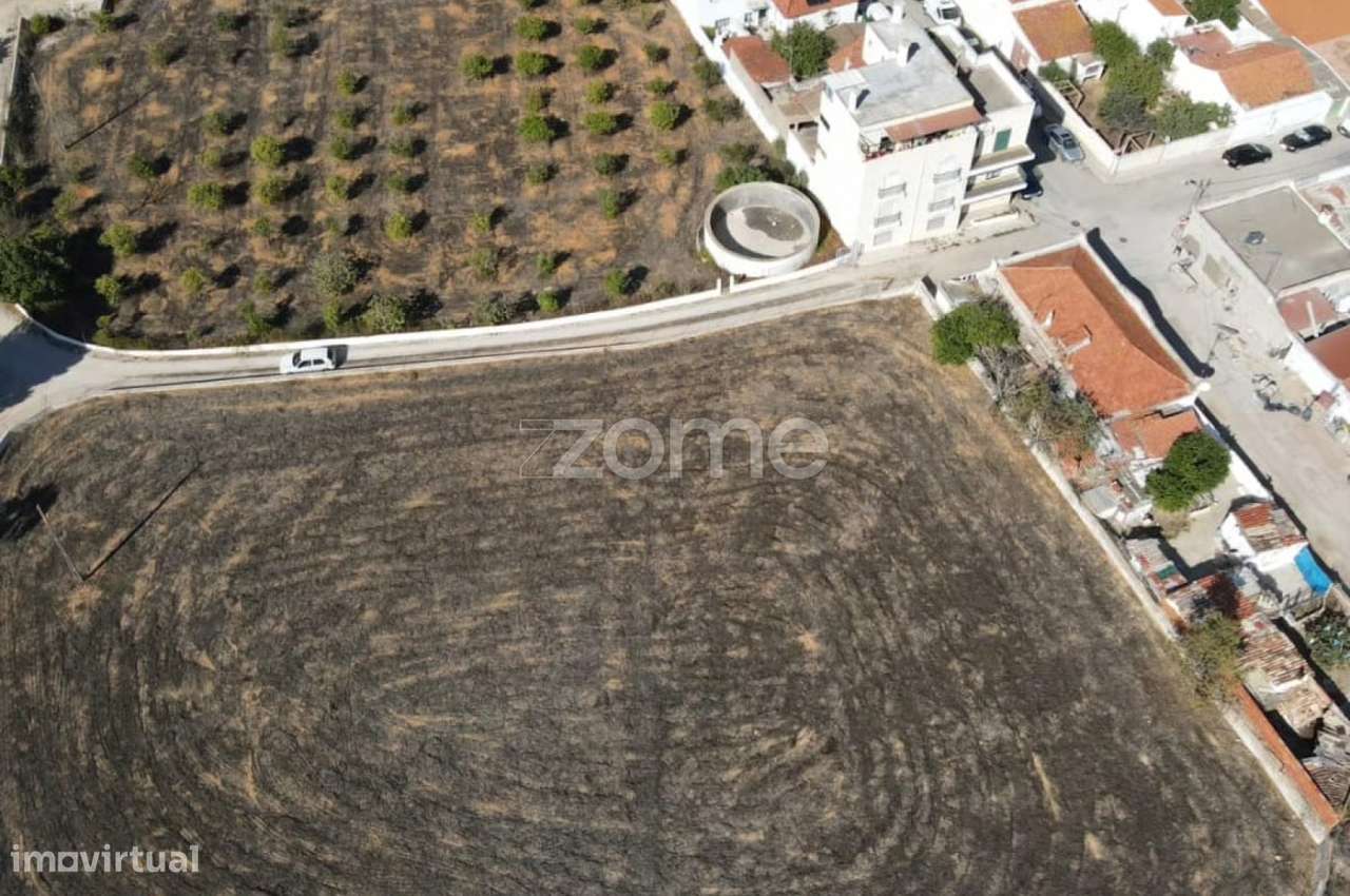 Quinta no Centro do Algoz - Grande imagem: 4/15