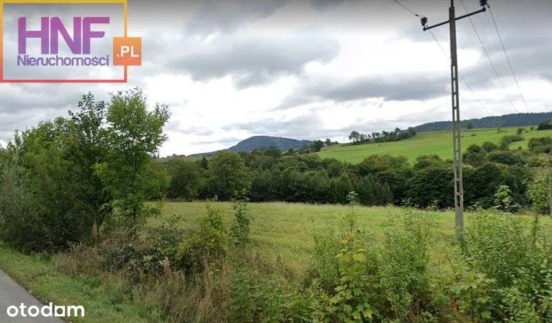 Działka budowlana 26,04ar w Mogilnie - Pełny obrazek: 5/6