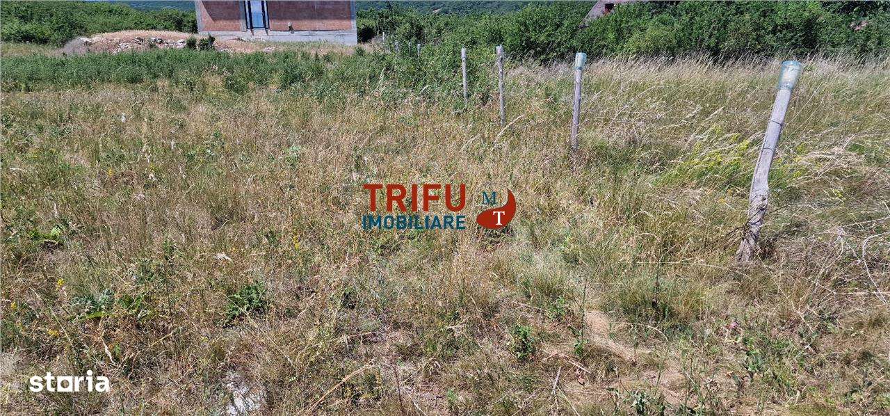 Teren in Podei de vanzare intravilan construibil - Imagine principală: 2/3