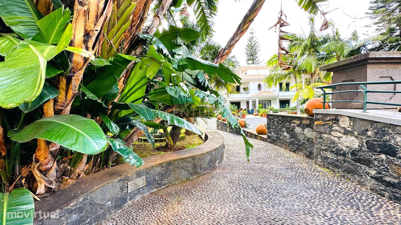 Quinta Tradicional -  Funchal - Grande imagem: 5/25