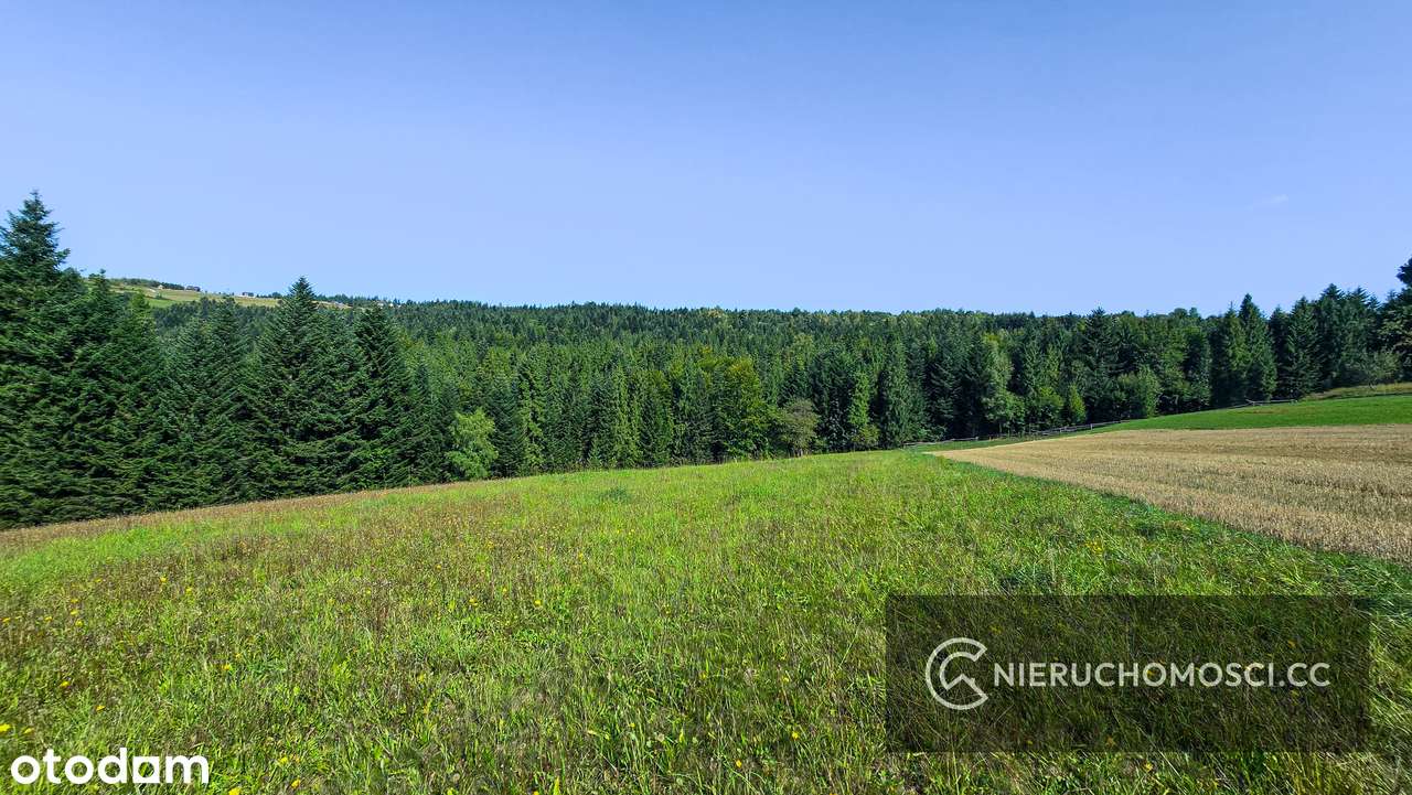 Działka budowlana 19,5ar i 17ar BOGDANÓWKA! - Pełny obrazek: 5/18