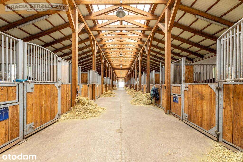 Funkcjonujący ośrodek jeździecki 35 km od Warszawy-8