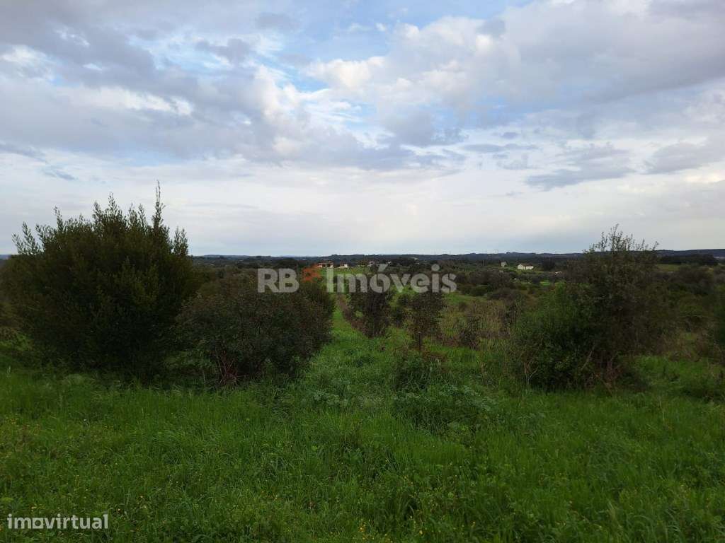 Terreno rústico com 21640m2 - Lamarosa, Torres Novas - Grande imagem: 3/12