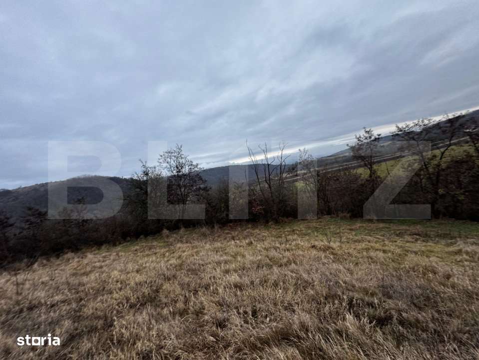 Teren extravilan 4300 mp, zona Criseni - Paclisa - Imagine principală: 4/6