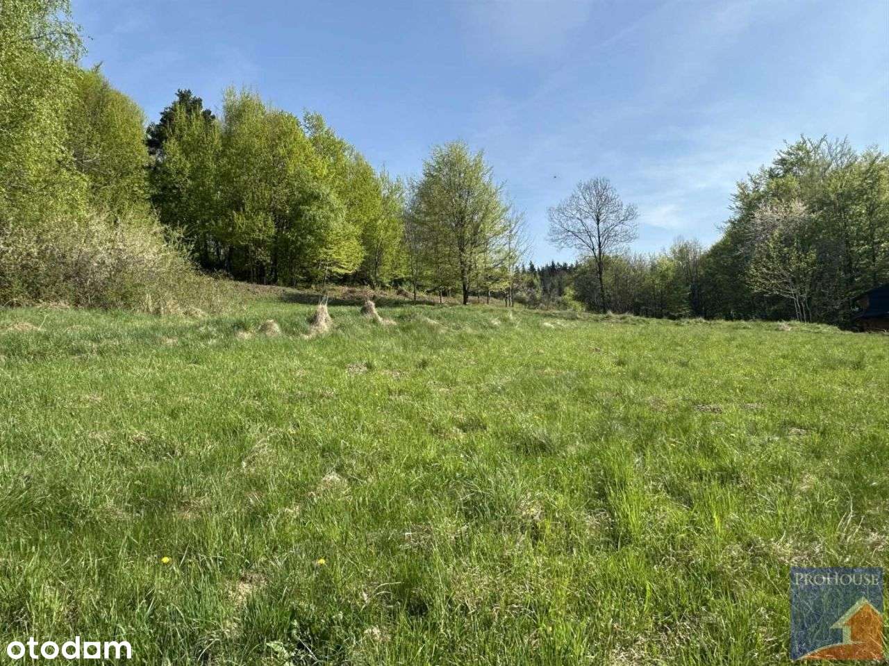 Działka, 1 800 m², Gruszowiec - Pełny obrazek: 5/20