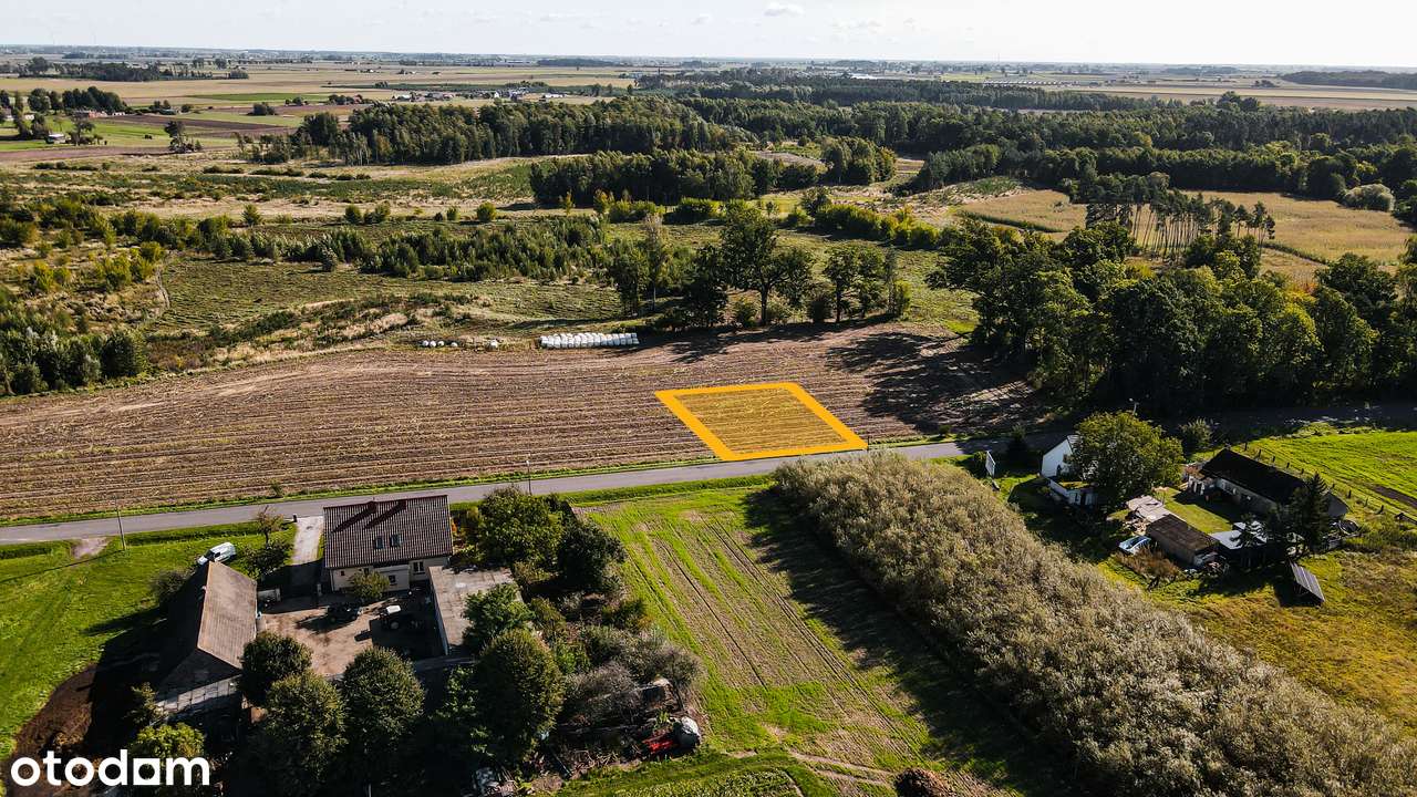 Nowy Folwark, gm. Września, pow. wrzesiński, woj. wielkopolskie-15