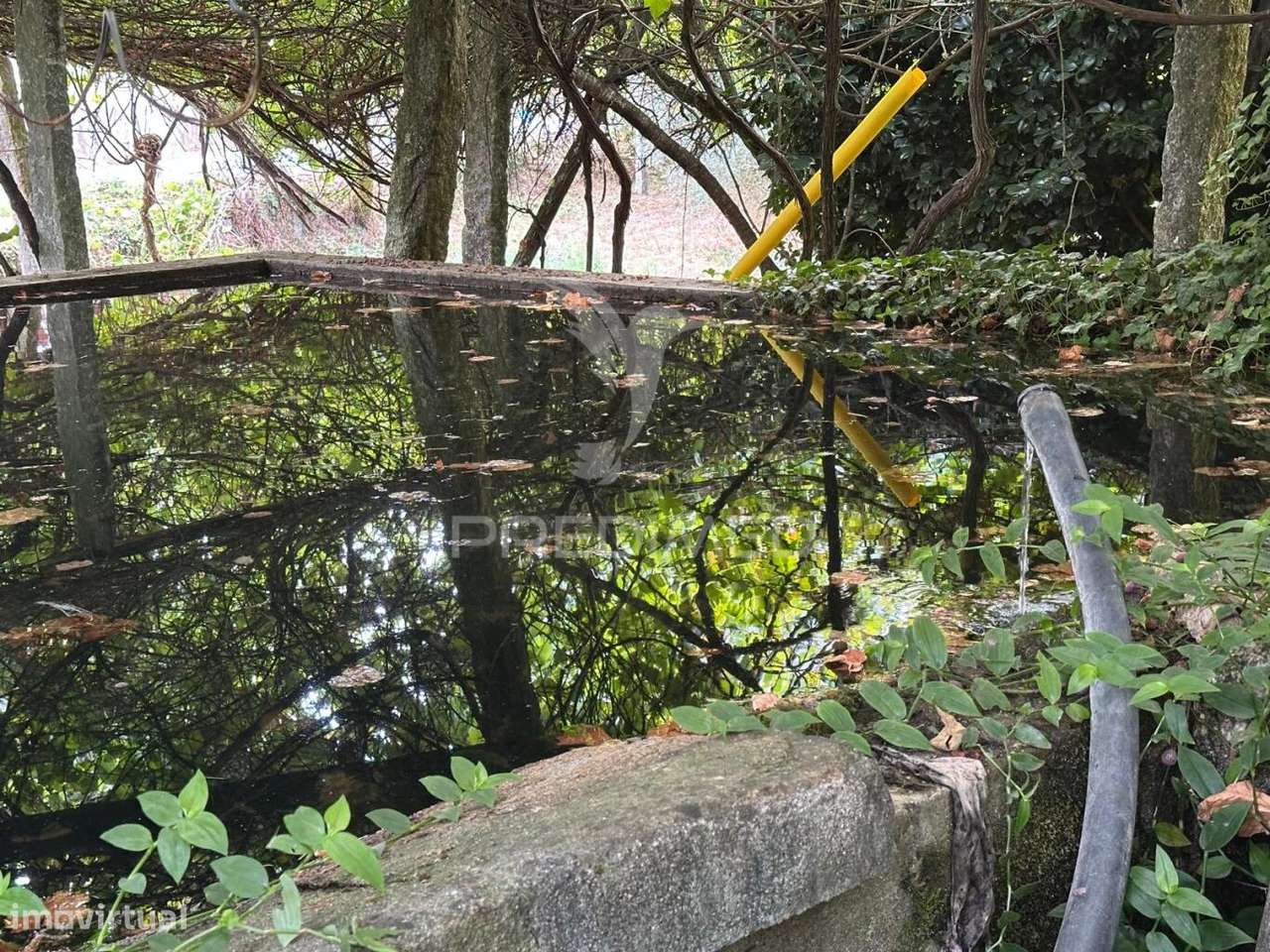 Quinta Rural em Ponte de Lima – Moradia T6 com 15.000 m² de Terreno - Grande imagem: 4/11