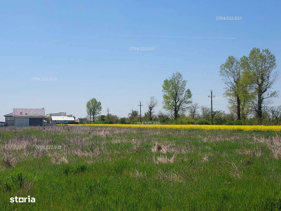 Teren intravilan 500 mp aproape de Bucuresti, Berceni, Ilfov - Imagine principală: 3/8