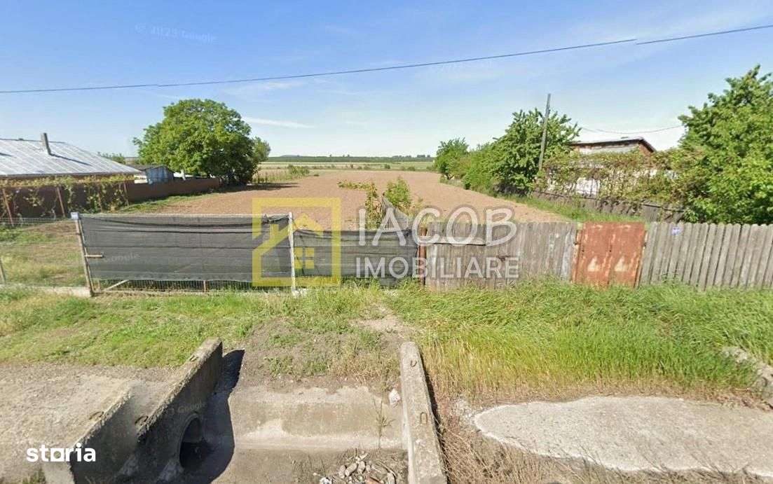 Teren 5000 mp, Dumbrava - Itesti, jud. Bacau, la E85 - Imagine principală: 4/5