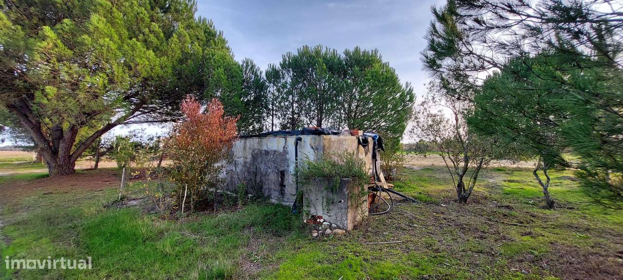 Quinta com Moradia para vender na Herdade de Almada em Foros de Almada-37