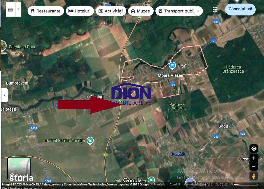 Teren Moara Vlasiei super pret, ideal pentru investitie - Imagine principală: 2/4