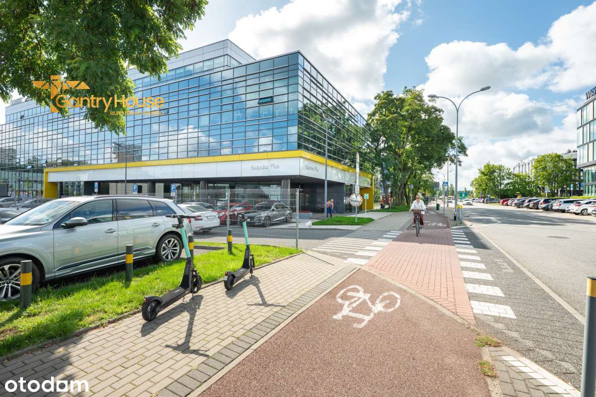 Prestżowe Biuro DO Wynajęcia W Gdyni Redłowie - Pełny obrazek: 3/20