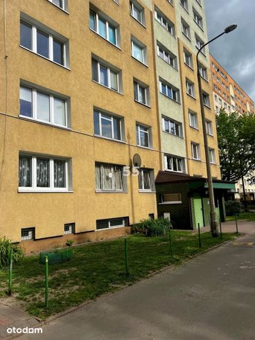 Mieszkanie, 43 m², Łódź