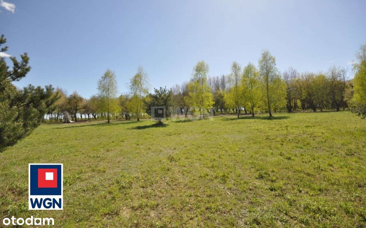 Działka, 900 m², Kodrąb-8