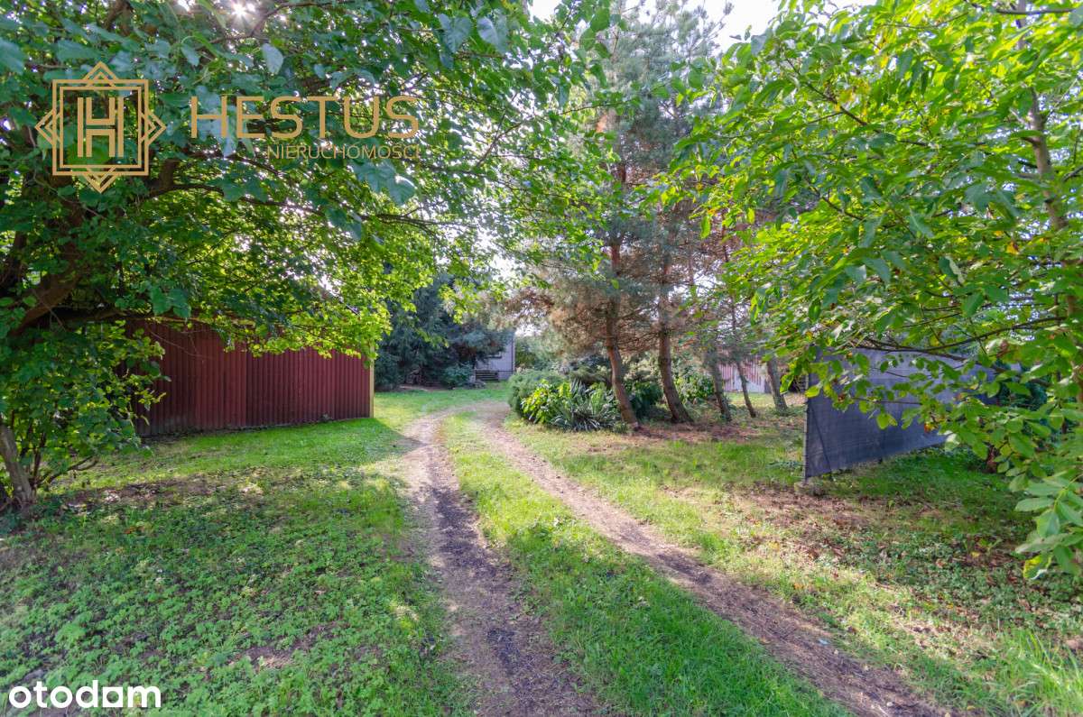 Dom wolnostojący do generalnego remontu - Pełny obrazek: 5/6