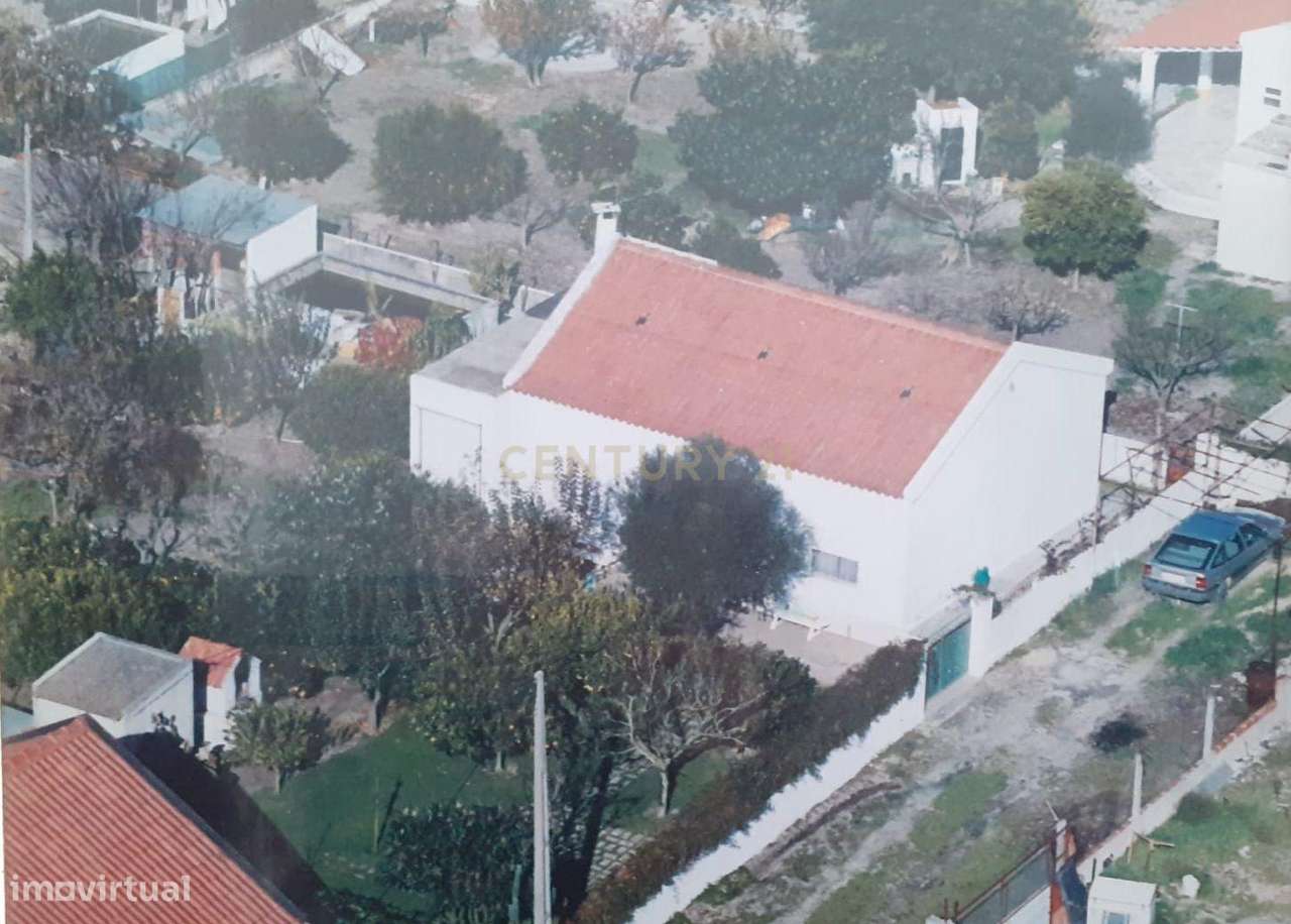 Exclusivo | Terreno com Benfeitorias em Santo Isidro de Pegões - Grande imagem: 5/14