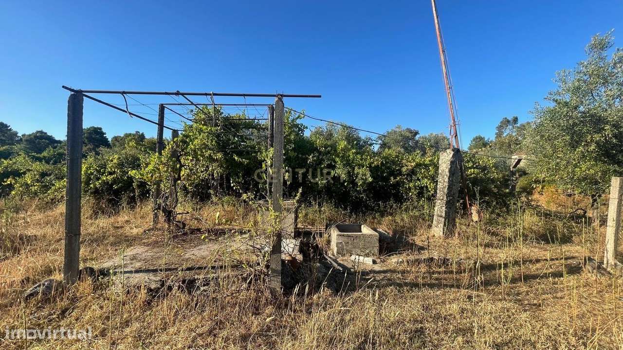 Terreno rústico em Aldeia do Bispo, Penamacor - Grande imagem: 3/12