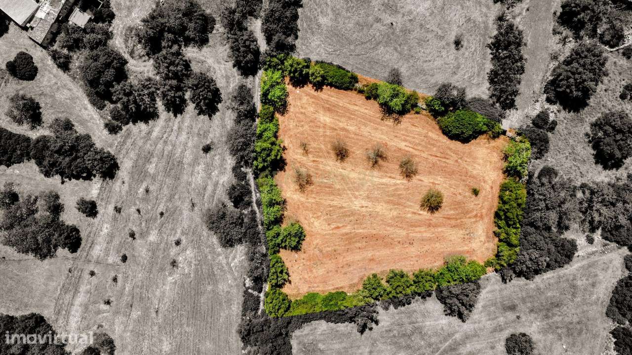 Tranquilidade na natureza - Terreno Rústico para Venda - Grande imagem: 2/36