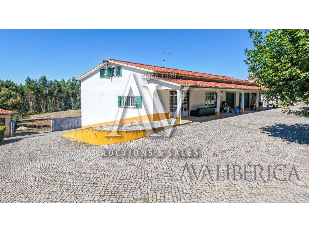 Quinta com 3,14 Hectares e Piscina | Ferreira do Zêzere-44