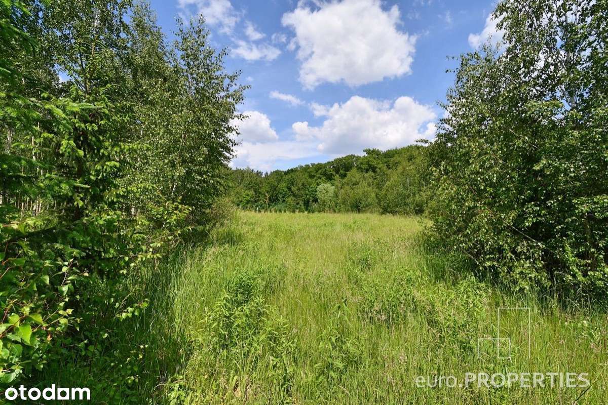 Działka z M.P.Z.P. nad jeziorem :: 197/3.8 - 1197m-11