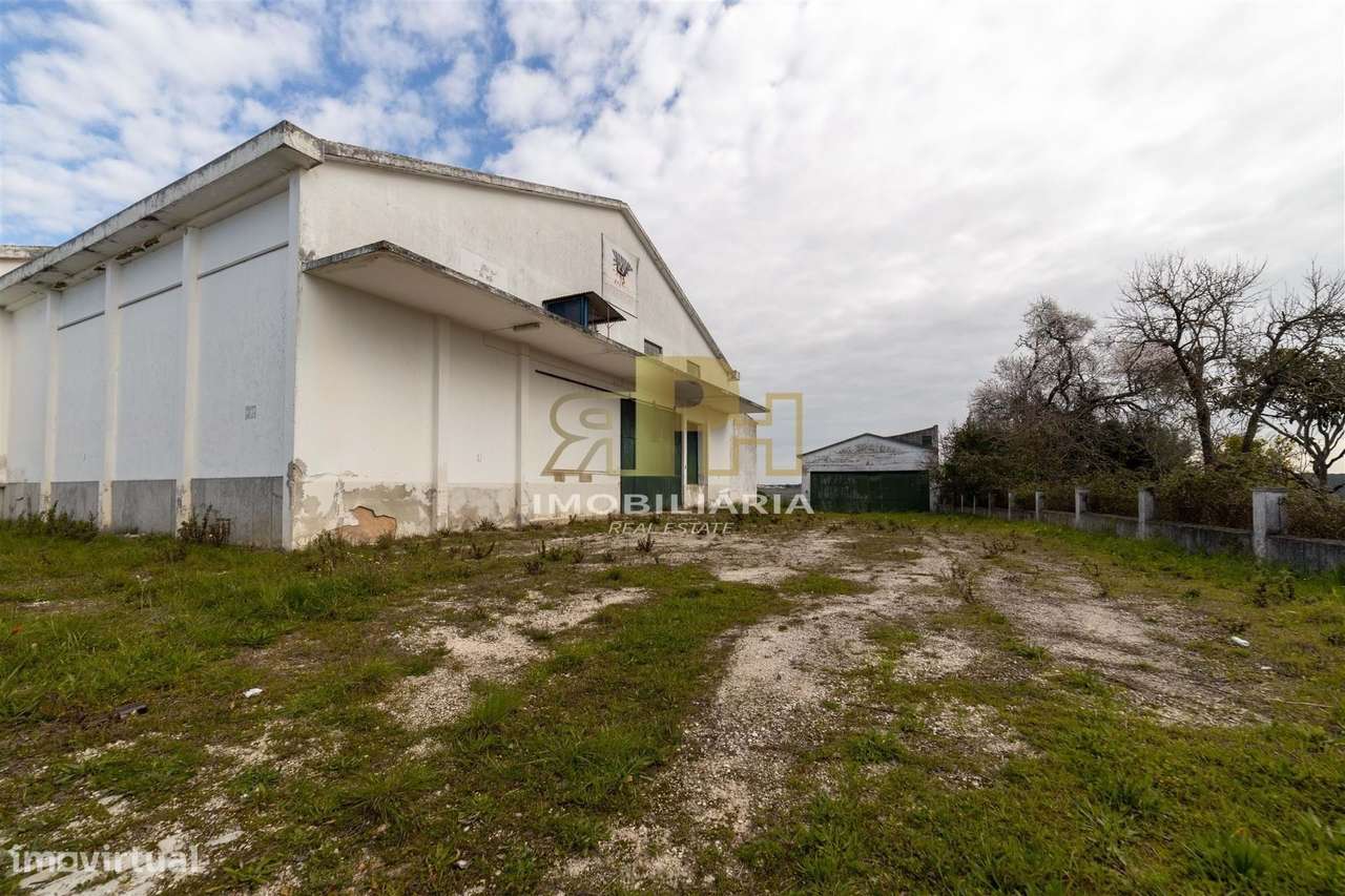 Armazém T6 Venda em Alcanhões,Santarém - Grande imagem: 3/38