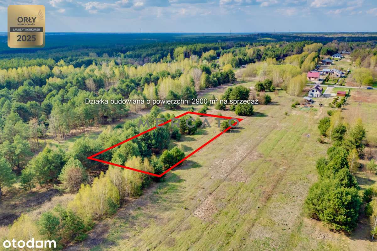 Działka Regut 2900 m2 - Pełny obrazek: 4/13